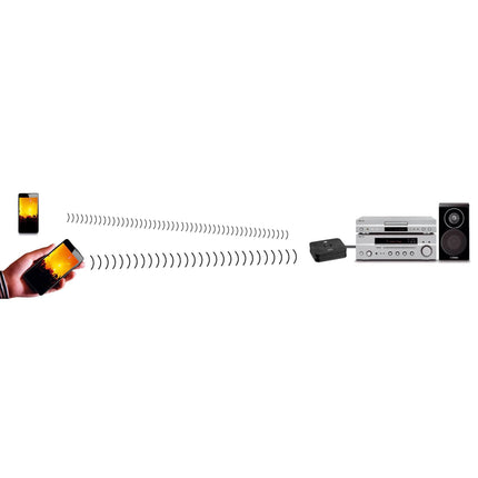 MARMITEK - BoomBoom 93 wireless audio receiver - BoomBoom image