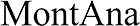 Brand image: brand_logo_montana.png